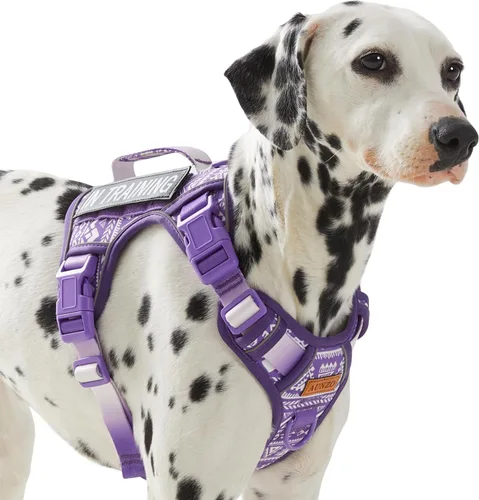 Vista 26 de Arnés para perro sin tirones para perros de tamaño pequeño, chaleco ajustable para caminar fácilmente, material Oxford transpirable, tiras