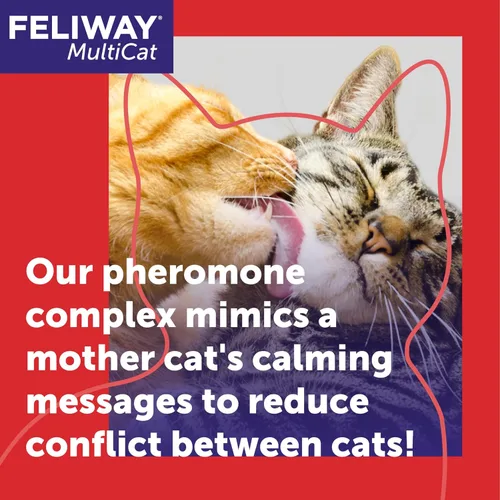 Vista 3 de FELIWAY® MultiCat 6 x Recambios calmantes para gatos de 30 días para difusor de feromonas, paquete de valor de 6 x 48ml (1.6 fl oz) - Ayuda a