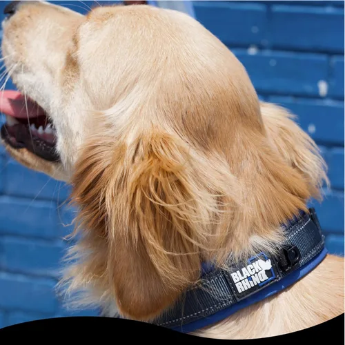Vista 4 de Black Rhino Collar de perro para perros grandes - Collar de perro ajustable, reflectante y resistente de alta calidad con acolchado ultrasuave