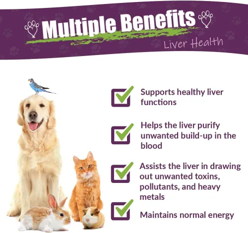 Vista 2 de Amber NaturalZ - Life Cell Support - Salud del hígado - para Petz - 1 onza