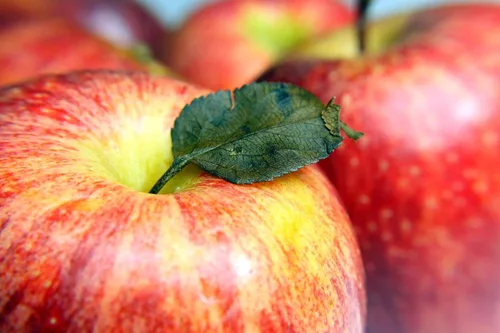 Vista 2 de Kejora Manzana fresca Gala 3 LB