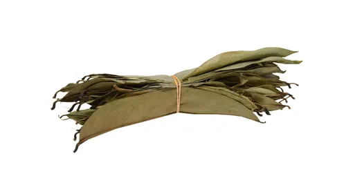 Vista 7 de Lakpura® Hojas secas de guanábana silvestre (Guanabana, Graviola, Guyabano) (7.05 oz)