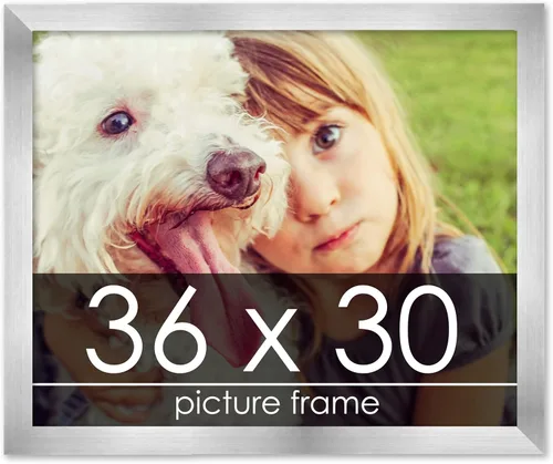 Vista 215 de Marco de madera de peltre plateado de 19 x 25 pulgadas con plexiglás acrílico UV, respaldo de tablero de espuma y accesorios incluidos