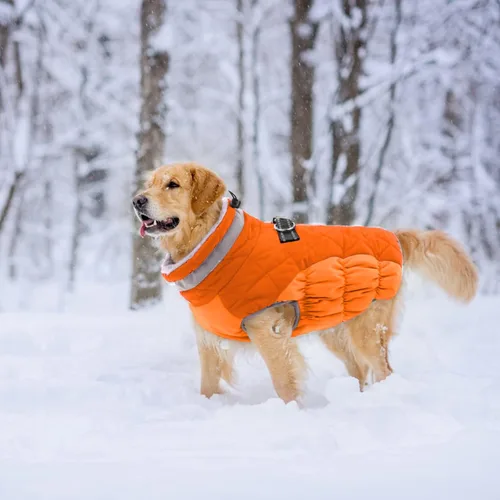 Vista 6 de Lelepet Abrigo cálido para perro, abrigo de invierno para perro, chaqueta impermeable para perros con arnés integrado reflectante para mascotas