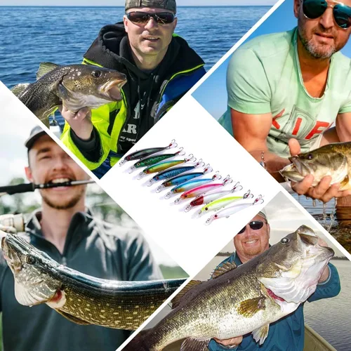 Vista 7 de Jerkbait Señuelos de pesca, señuelos de pesca de lubina superior - 10 piezas con caja
