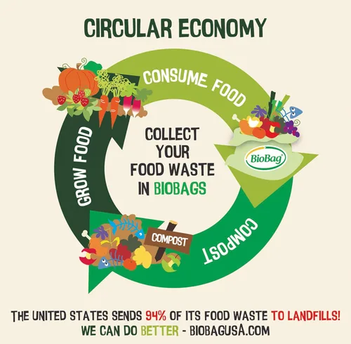 Vista 8 de Bolsas compostables para residuos de alimentos de 2.6 galones de BioBag, 100 unidades, certificadas BPI, cumplen con los estándares ASTM D6400