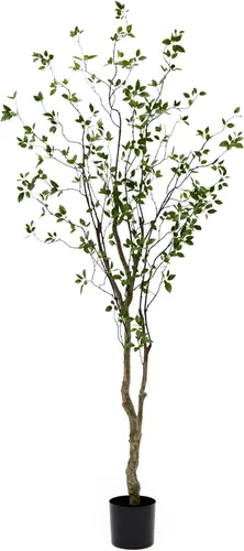 Vista 10 de Árbol artificial de cítricos minimalista de 1,22 m de Nearly Natural