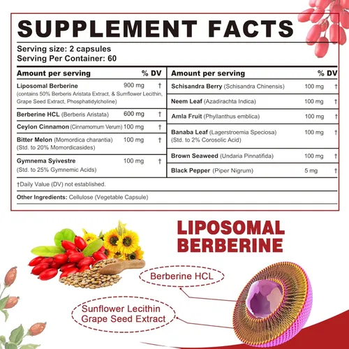 Vista 2 de Suplemento de berberina orgánico de 1500 mg con melón amargo de canela de Ceilán, suplementos de complejo liposomal de berberina HCL, apoyo