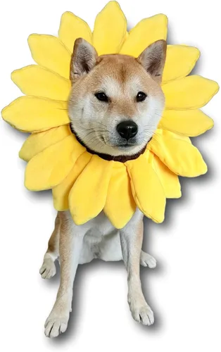 ComfyCamper Disfraz de girasol para perro pequeño, mediano y grande, cachorro, gato, gatito – Lindo traje de cabeza y flor con diadema – Collar de