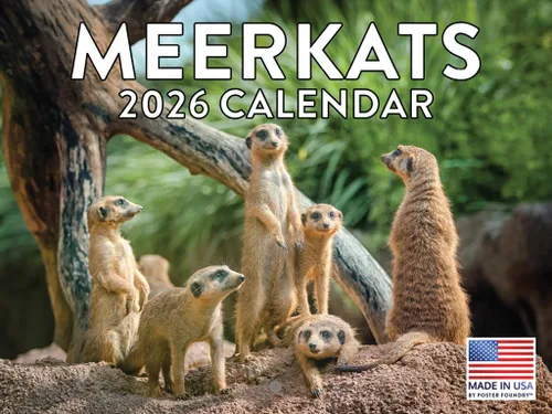 Vista 84 de Calendario alpaca 2026, calendario mensual de pared de 12 meses Hecho en Estados Unidos.