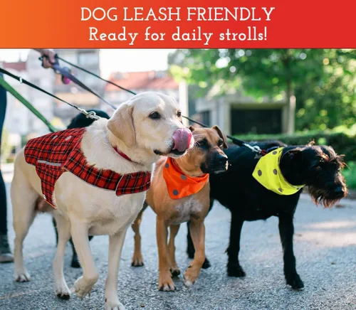 Vista 3 de SPOT THE DOG! Collar reflectante para perro – Collares ajustables para mascotas, seguro, duradero, cómodo, accesorios para pasear perros grandes
