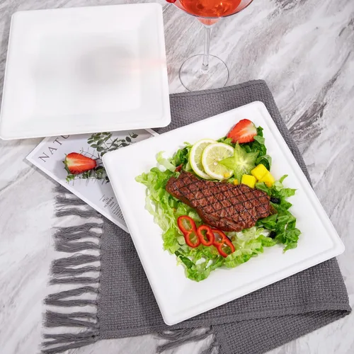 Vista 5 de SUT Platos de papel compostables de 10 pulgadas, 100 platos cuadrados biodegradables de bagazo, platos resistentes para microondas, platos