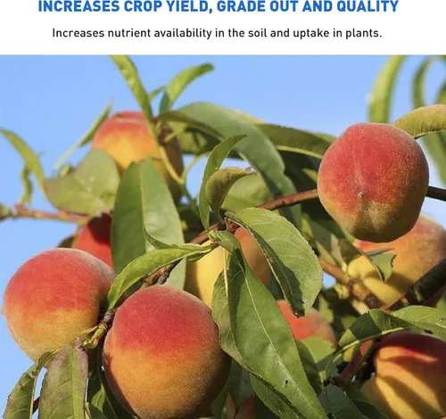 Vista 5 de Azomite Raw Supply polvo mineral orgánico de traza 44LB micronizado, blanco