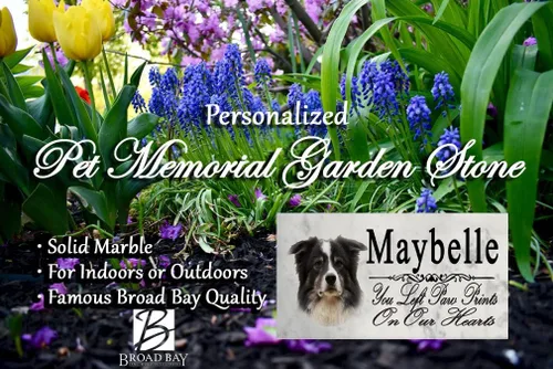 Vista 3 de Broad Bay Border Collie Memorial Stone - Placa personalizada para pérdida de mascotas para interiores o jardín, lápida para tumba al aire libre