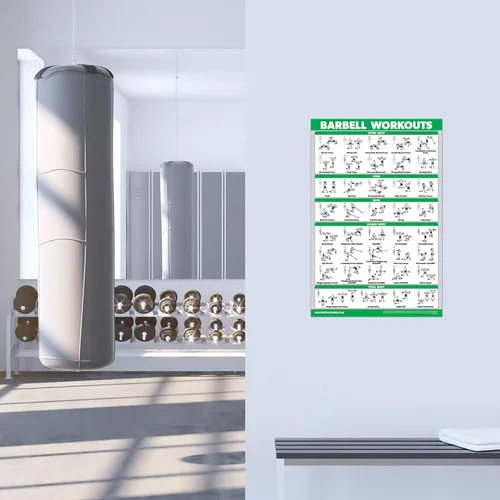 Vista 2 de QUICKFIT - Juego de póster de ejercicios con mancuernas y barra – Juego de 2 tablas laminadas – Rutina de ejercicio con mancuernas y ejercicios