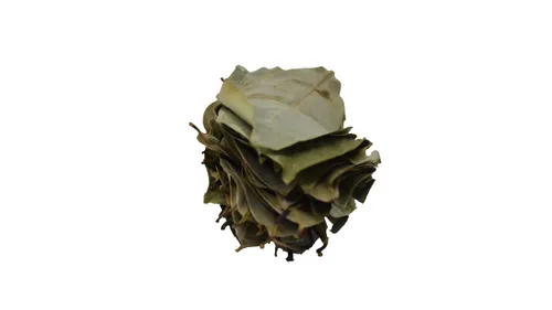 Vista 4 de Lakpura® Hojas secas de guanábana silvestre (Guanabana, Graviola, Guyabano) (7.05 oz)