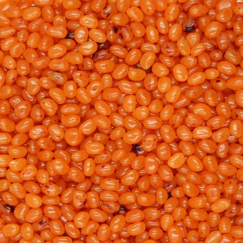 Vista 5 de Smarty Stop Jelly Beans - Caramelos de todos los sabores (2 libras (paquete de 1), surtido)