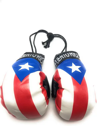 Vista 28 de Mini Guantes de Boxeo Colgantes para Espejo de Coche (Argentina)