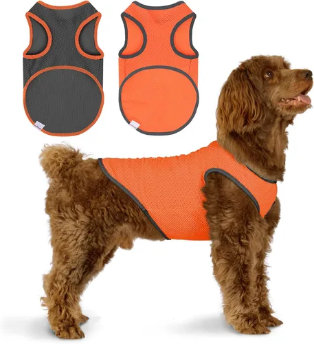 Vista 2 de Paquete de 2 camisas refrescantes para perros, ropa de malla ligera transpirable para perros pequeños, niños y niñas, camisas sin mangas