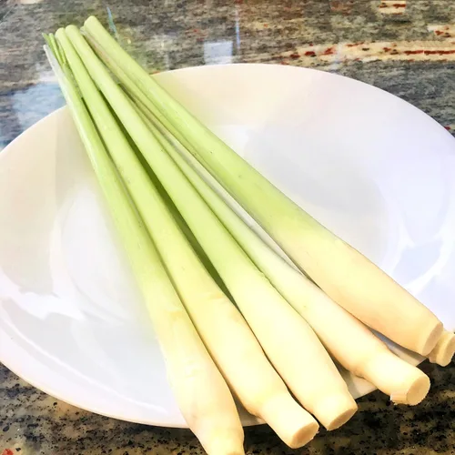 Kejora Hierba de limón fresca 12 tallos