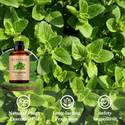 Vista 3 de Aceites Esenciales de Orégano 60ML, Aceite Esencial de Orégano Puro para Difusor de Aromaterapia - 2 Fl Oz