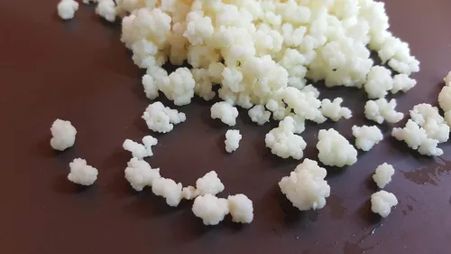 Vista 6 de Fermentador de kéfir 1.5L/50oz con recipiente grande (120cc) con granos KEFIR