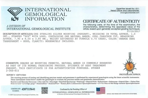 Vista 2 de Ian and Valeri Co. Colgante de sol pequeño de plata de ley ámbar, Ámbar, Ámbar