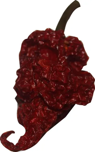 Vista 5 de Scorpion Chili Powder Spice Seasoning Trinidad Moruga Red Tail