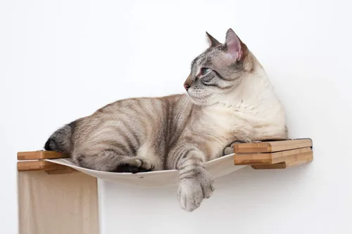 Vista 6 de CatastrophiCreations Play - Hamaca para gatos y centro de actividades de escalada - Árbol de gato montado en la pared