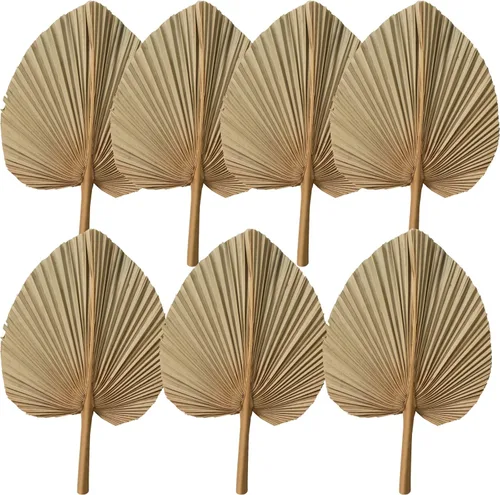 7 hojas de palma secas recortadas naturales de 18.1 x 10 pulgadas, lanza de palma seca, decoración de boda bohemia para el hogar, decoración