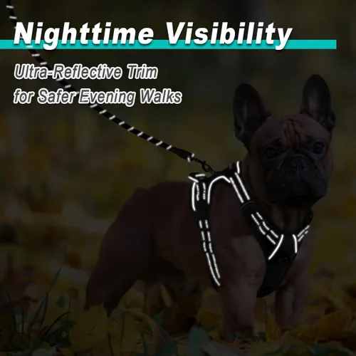 Vista 5 de BARKBAY Arnés para perro sin tirones para perros pequeños, ajustable, reflectante, cómodo, sin estrangulamiento, resistente, perfecto