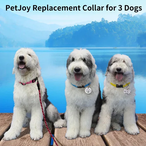 Vista 5 de PetJoy Paquete de 3 Correas de Repuesto para Collares de Descarga y Electrónicos - Collares de Perro Ajustables de Nylon Duradero, 8-27 Pulgadas
