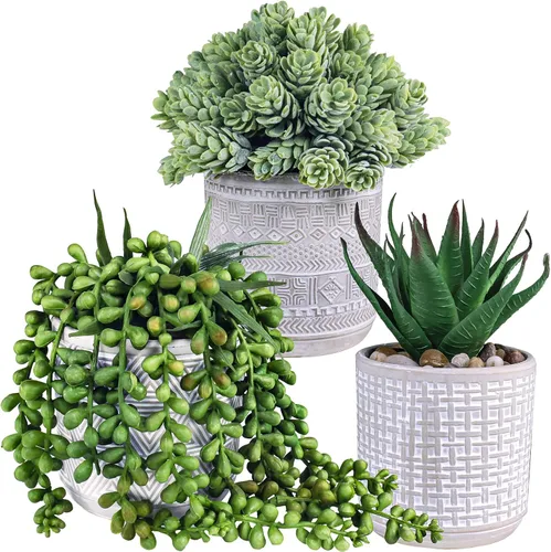 Juego de 3 plantas suculentas pequeñas surtidas en macetas falsas de aloe, cuerda de perlas y suculentas de lúpulo en macetas de cerámica de