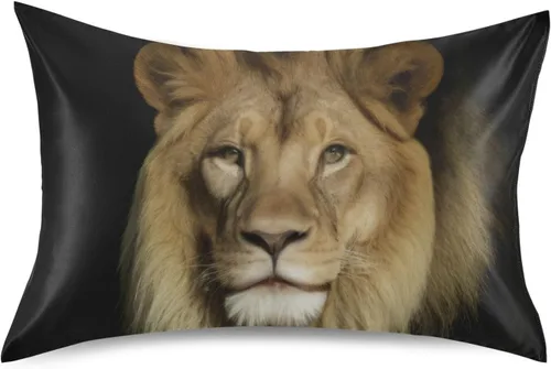 Vista 161 de Fundas de almohada Blueangle con diseño de rayas de béisbol – Fundas de almohada suaves y transpirables – Lavables a máquina – Fundas de almohada