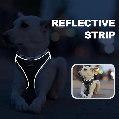 Vista 5 de haapaw Arnés para perro con correa, arnés reflectante ajustable sin tirones con chaleco acolchado grueso para perros extrapequeñospequeños y medianos