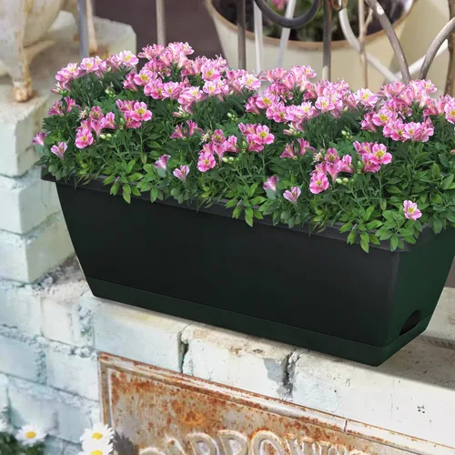 Vista 4 de CHUKEMAOYI Macetero de ventana, paquete de 10 maceteros de plástico para vegetales y flores, macetas rectangulares de 17 pulgadas con platillos