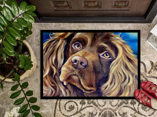 Vista 3 de Tesoros de la Caroline 7402jmat Boykin Spaniel para interiores o exteriores Mat, 24" H x 36" W, multicolor