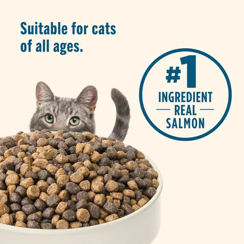 Vista 6 de Nutrish Comida seca para gatos con receta de salmón real y arroz integral, bolsa de 6 libras, el embalaje puede variar (Rachael Ray)