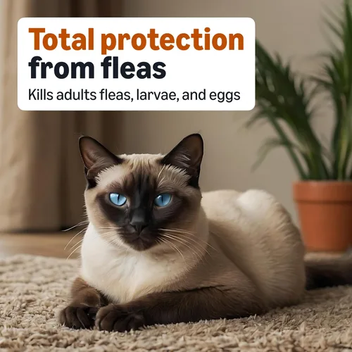 Vista 3 de Yaxa Basics PrevenativeTratamiento tópico de pulgas para gatos medianos (5-9 libras), 4