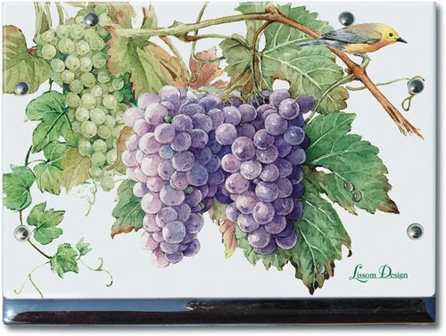 Viñedo