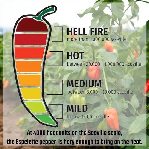 Vista 4 de Gourmanity Piment d'Espelette - Pimienta en polvo de vasca, Francia, aromática y ahumada con calor suave, condimento de chile rojo secado al sol