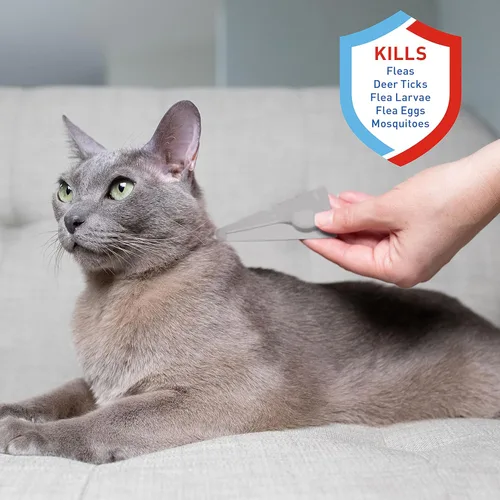 Vista 2 de Adams Plus Flea & Tick Spot On para gatos y gatitos de más de 2.5 libras pero menos de 5 libras