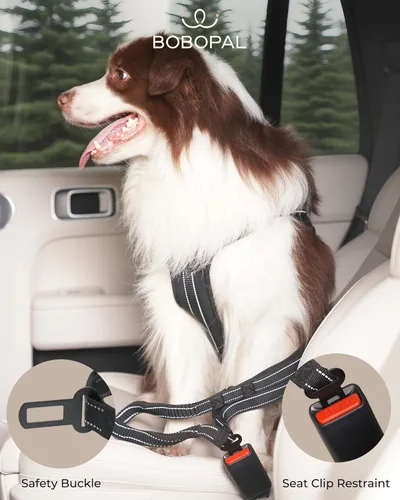 Vista 5 de Correa de perro manos libres con cinturón ergonómico, bolsa con cremallera, elástico reflectante y doble asa, para perros medianos y grandes