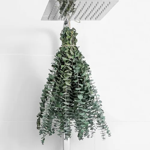 Vista 13 de 10 tallos de eucalipto secos de 17 pulgadas de eucalipto real para colgar en la ducha, 100% hechos de hojas frescas, boda, hogar, granja, decoración