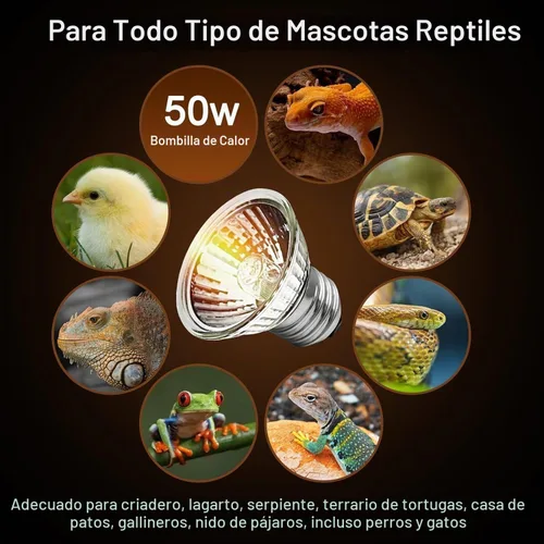 Vista 3 de Bombillas Uva de 50 W, 2 paquetes, lámpara de calor de tortuga