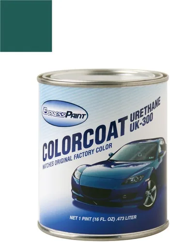Vista 30 de Daewoo Leganza Automotive Pintura de Retoque