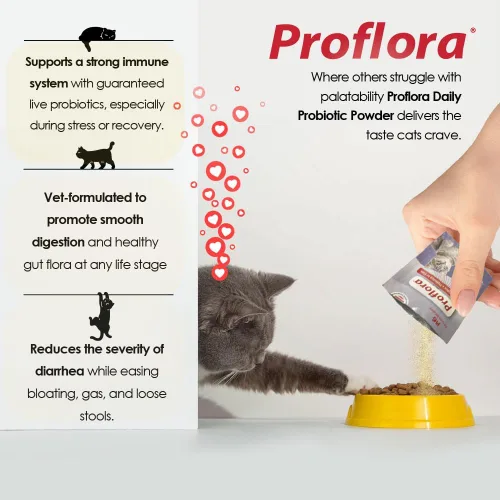Vista 13 de Probióticos para gatos: salud intestinal completa y apoyo inmunológico. Probióticos digestivos de múltiples cepas fáciles de usar. Transiciones