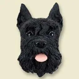 Vista 106 de Imán negro de Pomerania 4-Negro