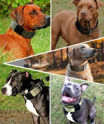 Vista 4 de Collar de perro para perros grandes, collares tácticos de 2 pulgadas de ancho con asa para perros de raza extragrande, camuflaje militar