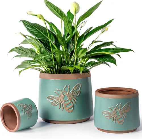 Vista 10 de Succulent Pots Terracotta, 6 Inch Plant Pot for Plants with Drainage Hole, Ceramic Planter Mushroom Pattern, Round Flower Pots for Indoor Outdoor
